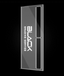 Standart BG Limited Acryl Due (2) Case Ständer